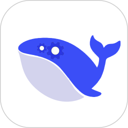 Deepseek助手 1.1 安卓版